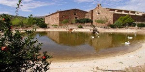 VISTA POSTERIOR DEL SANTUARIO